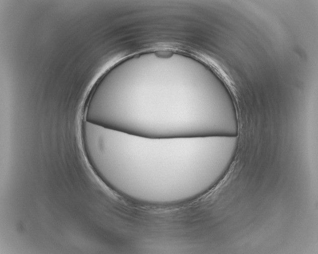 X0000116641235200912140938