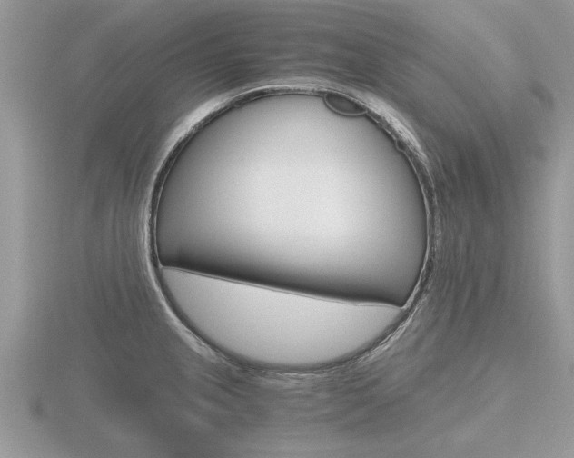 X0000116641237200912140938