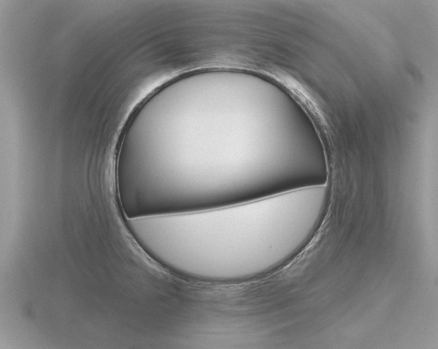 X0000116641238200912140938