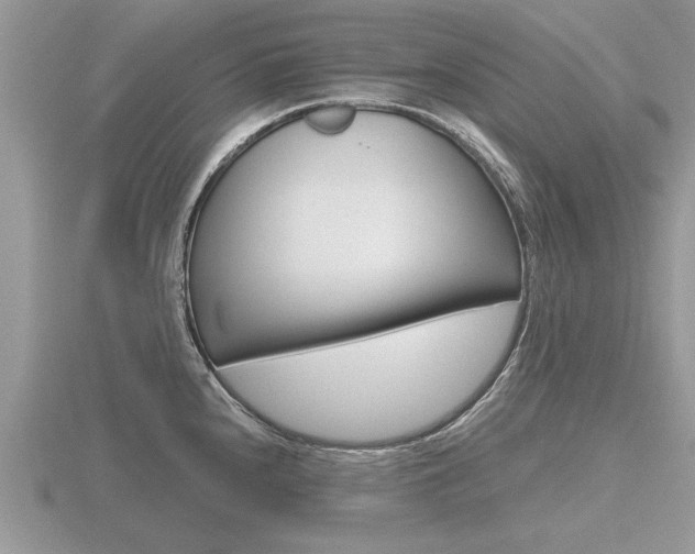 X0000116641240200912140938