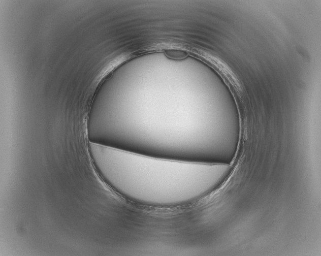 X0000116641241200912140938