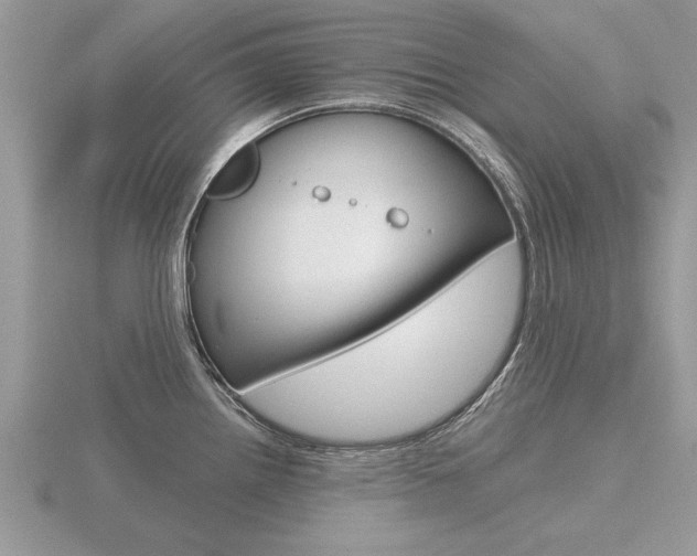 X0000116641242200912140938