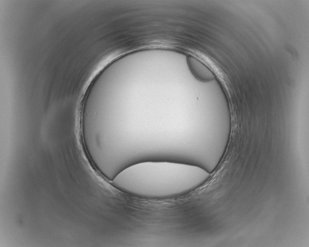 X0000116641243200912140938