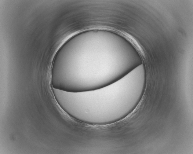 X0000116641244200912140938