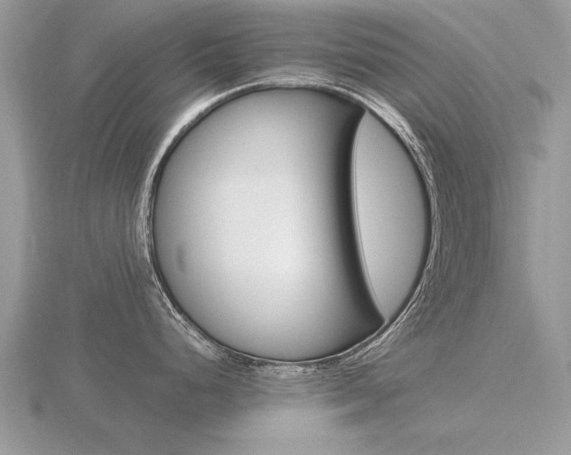 X0000116641248200912140938