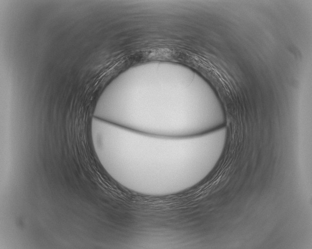 X0000116641250200912140938