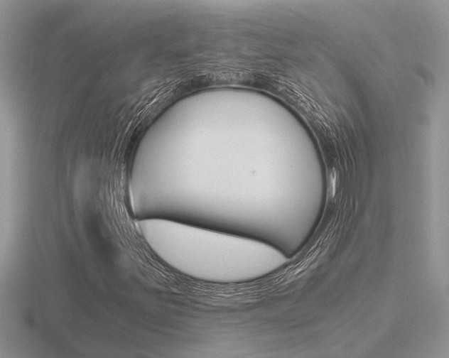 X0000116641251200912140938