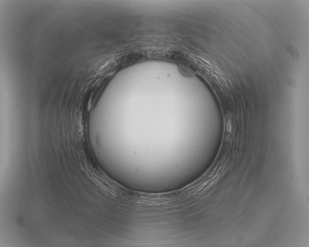 X0000116641252200912140938