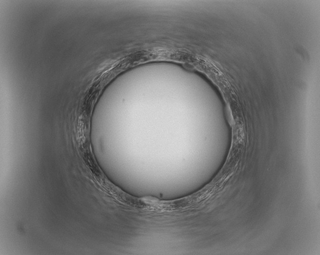 X0000116641253200912140938