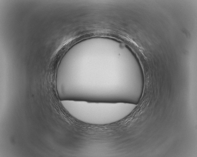 X0000116641255200912140938