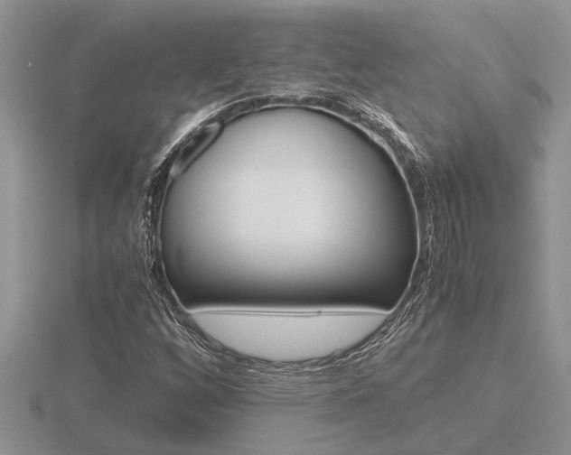 X0000116641256200912140938