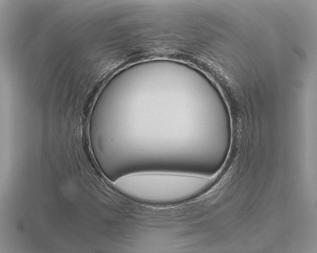X0000116641257200912140938