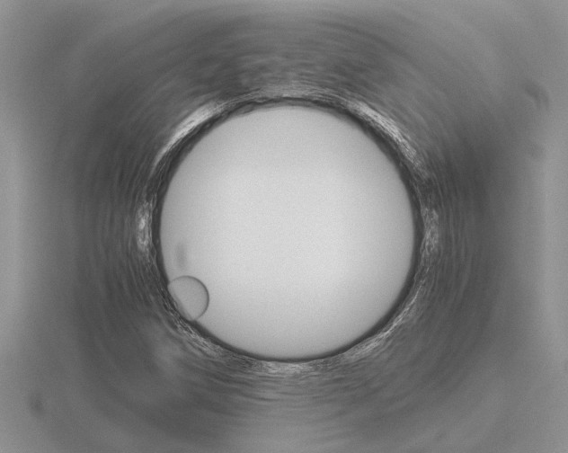 X0000116641258200912140938