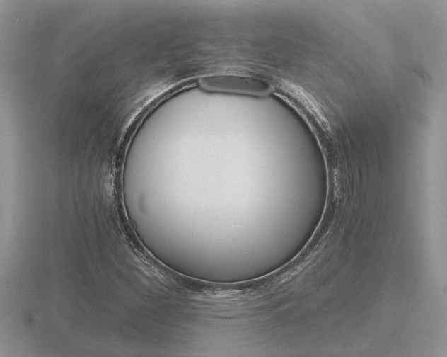 X0000116641260200912140938