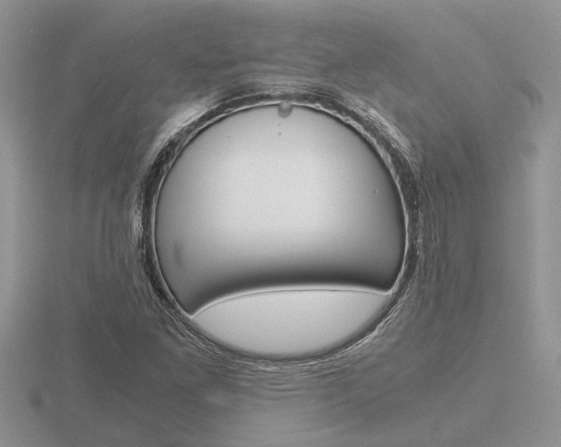 X0000116641261200912140938