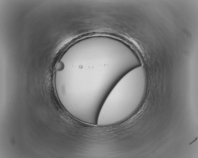 X0000116641263200912140938