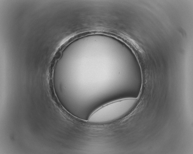 X0000116641264200912140938