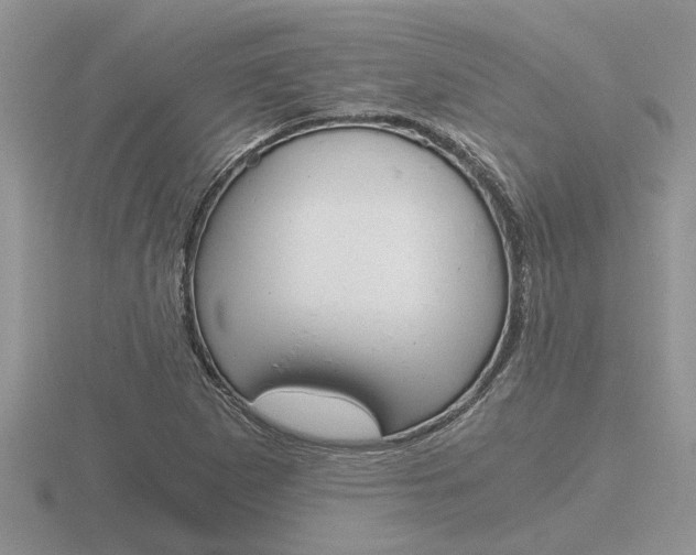 X0000116641265200912140938