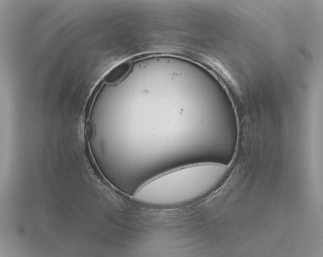 X0000116641268200912140938