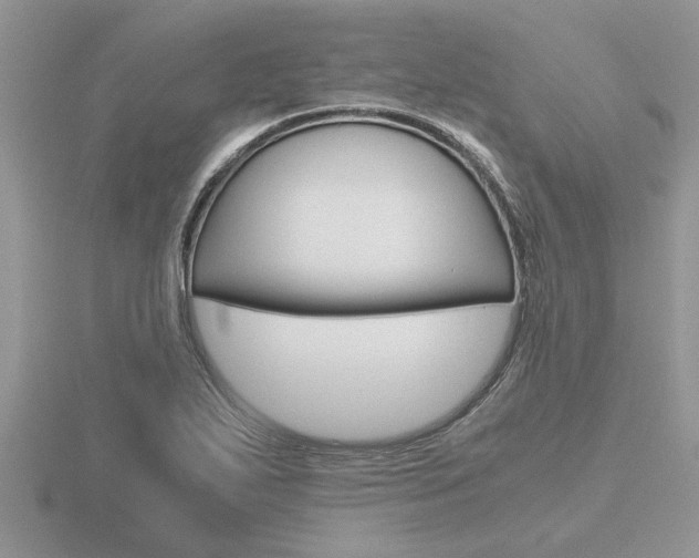 X0000116641271200912140938