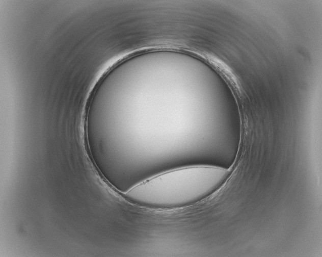X0000116641288200912140937
