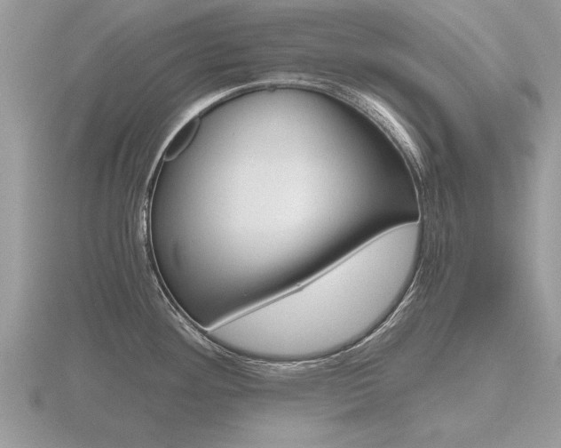 X0000116641292200912140937