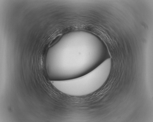 X0000116641298200912140936