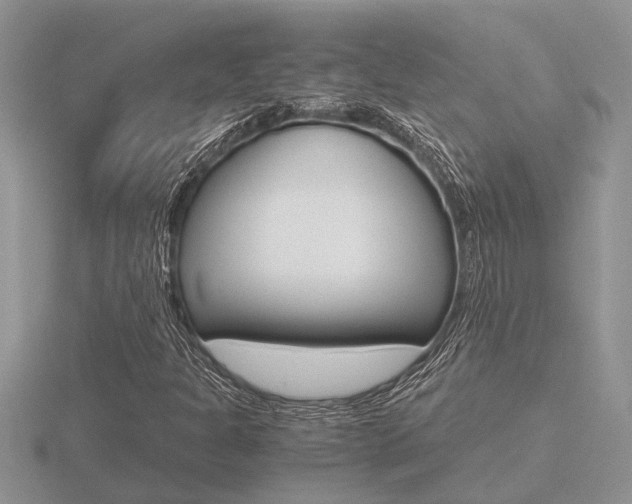 X0000116641301200912140937