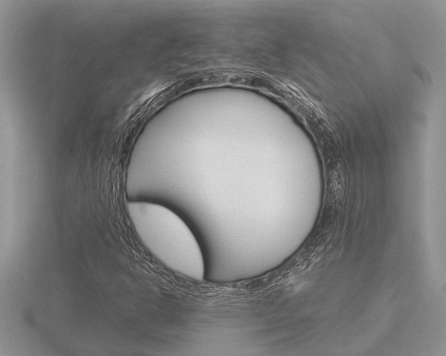 X0000116641302200912140937
