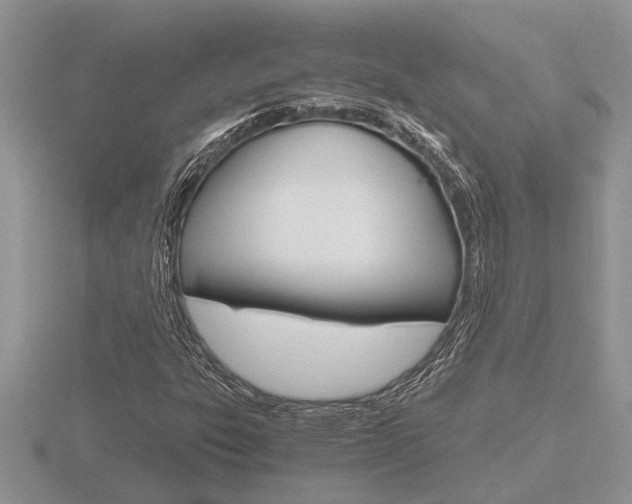 X0000116641303200912140937