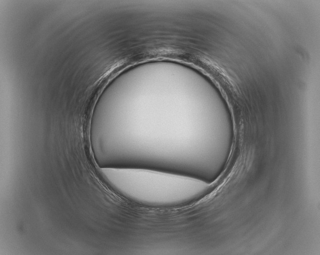 X0000116641305200912140937