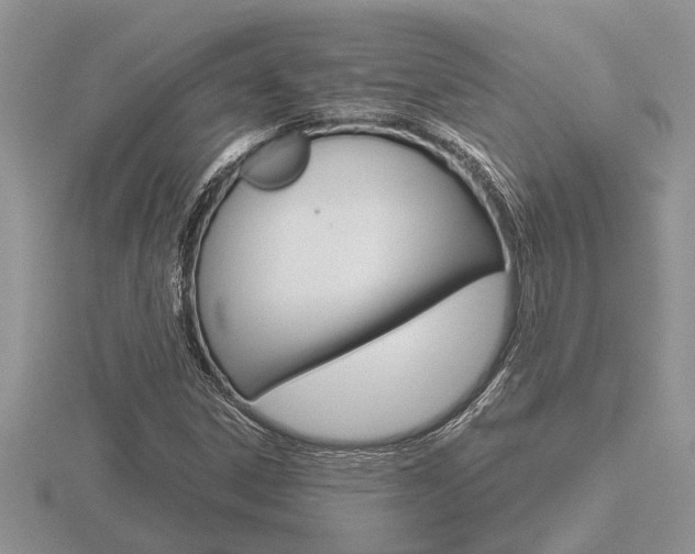 X0000116641306200912140937