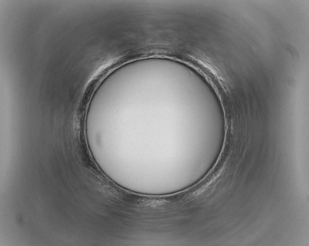 X0000116641309200912140937
