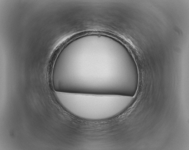 X0000116641311200912140937