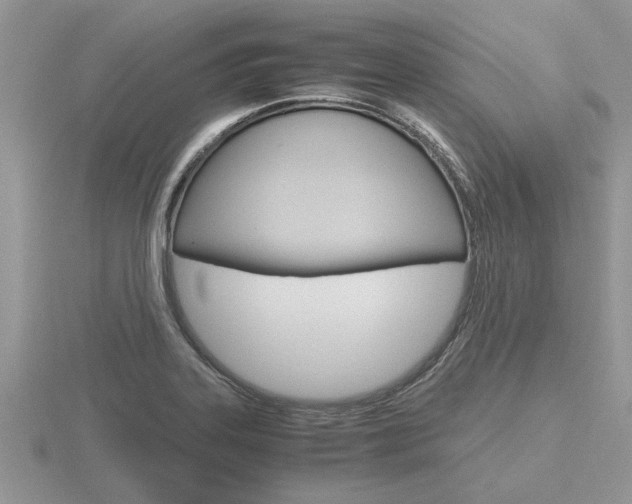 X0000116641323200912140937