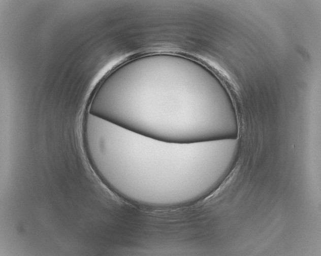 X0000116641325200912140937