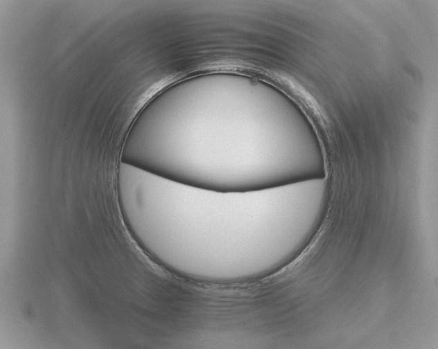 X0000116641329200912140937