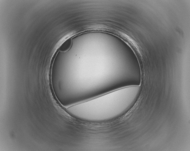 X0000116641330200912140937
