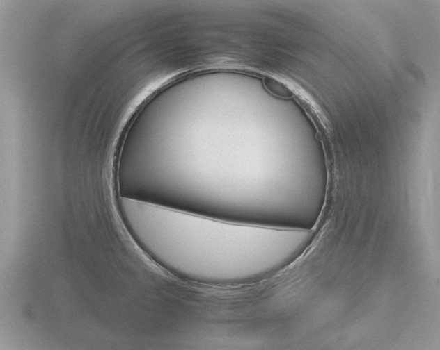 X0000116641333200912140937