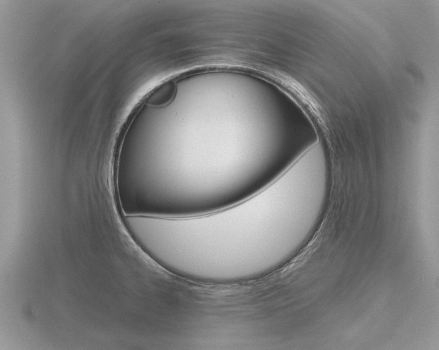 X0000116641334200912140937