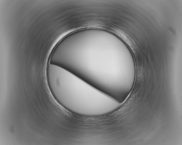 X0000116641339200912140937