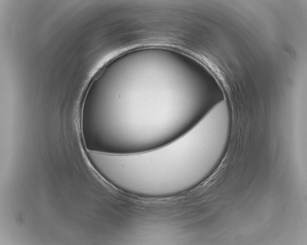 X0000116641342200912140937