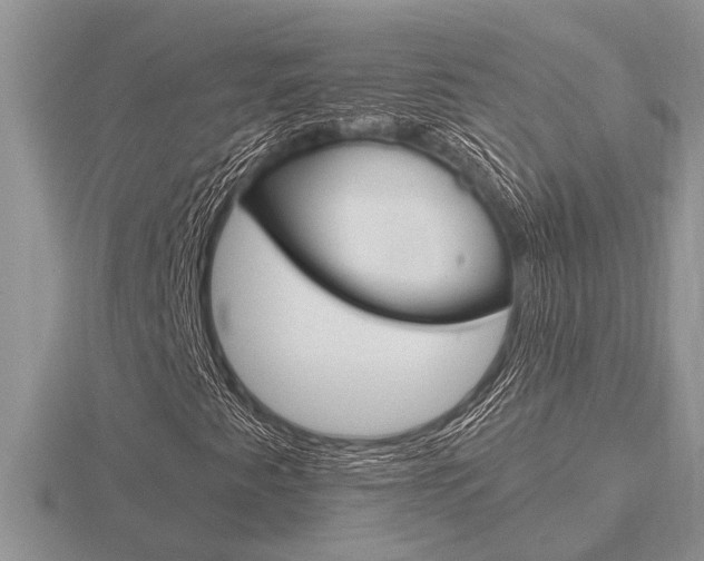 X0000116641345200912140936