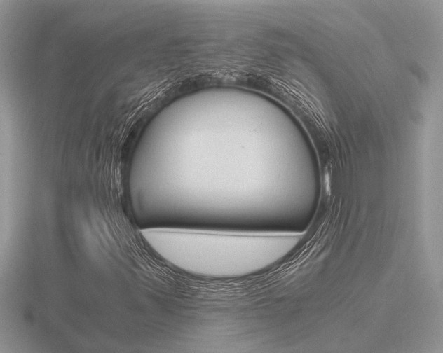 X0000116641347200912140936