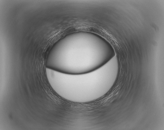 X0000116641348200912140936