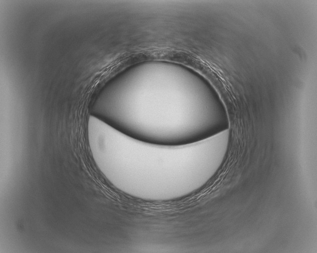 X0000116641349200912140936