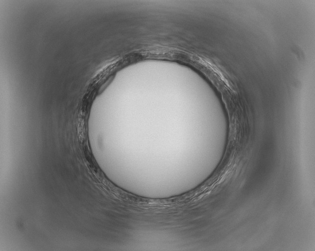 X0000116641350200912140936