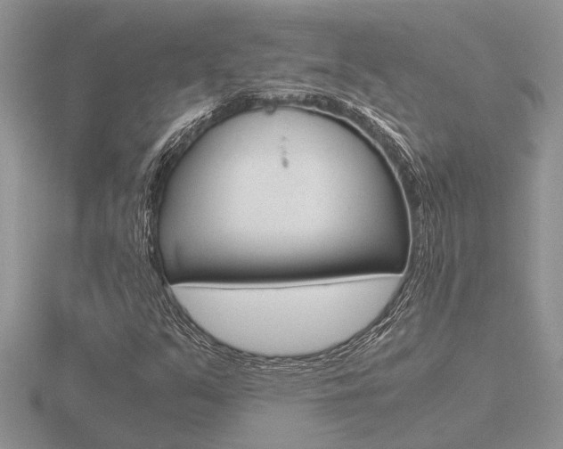 X0000116641351200912140936