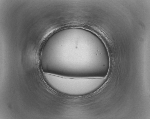 X0000116641355200912140936