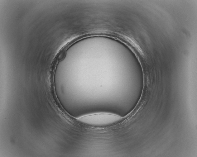 X0000116641356200912140936